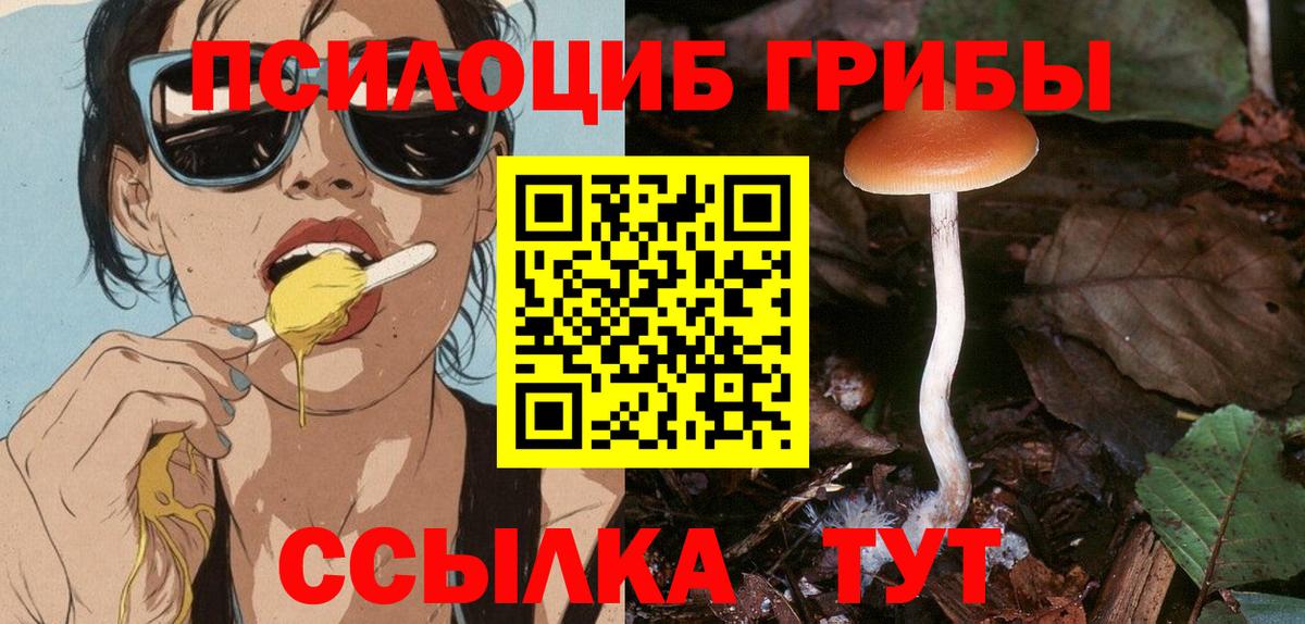 Галлюциногенные грибы ЛСД  Вход с VPN  Протвино 